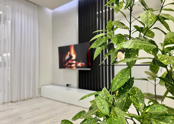 Maya\'S Apartment